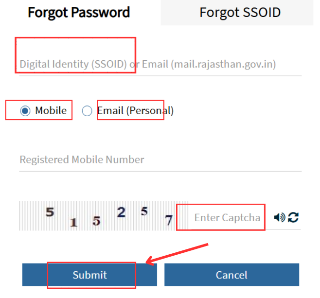 Forget Password Next SSO ID