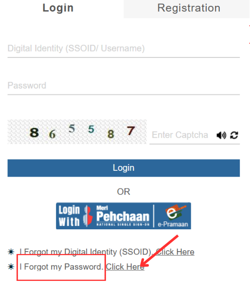 Forget Password